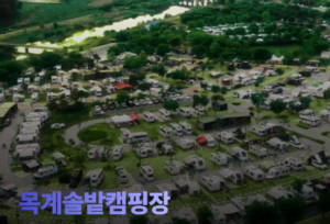 충주 목계솔밭캠핑장 예약|바비큐·숙박·유기농체험 이용방법 4 목계솔밭캠핑장