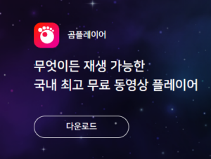 곰플레이어