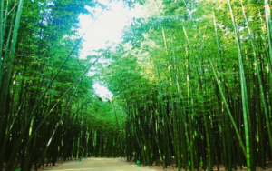 울산 가볼만한곳 10월 BEST|입장료·주차·여행코스 총정리 4 울산