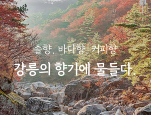 강원도 가볼만한곳 10월 BEST|단풍 명소·입장료·주차·여행코스 총정리 1 강원도