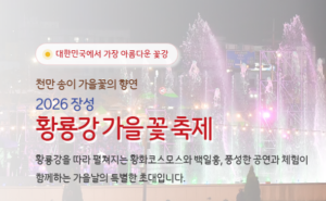 장성 황룡강 축제 2026 라인업 총정리|불꽃놀이 일정·주차장·무료 입장 안내 7 장성황룡강축제