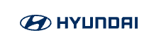 현대 블루핸즈